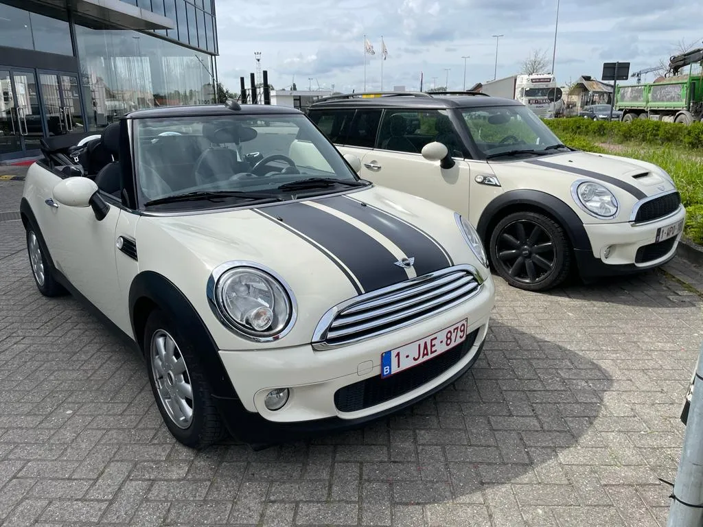 MINI MINI 2009